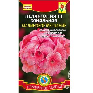

Семена Пеларгония зональная Малиновое Мерцание F1, 3 шт, Плазменные семена