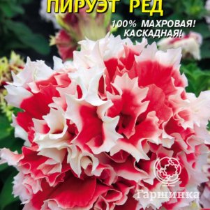 Семена Петуния F1 Пируэт Ред, 10драже в пробирке, Плазменные семена