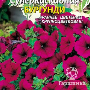 Семена Петуния F1 Суперкаскадная Бургунди, 10драже в пробирке, Плазменные семена