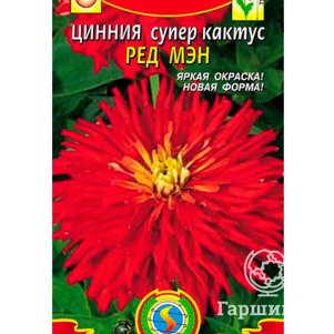 Семена Цинния супер-кактус Ред мэн, 0,3 гр
