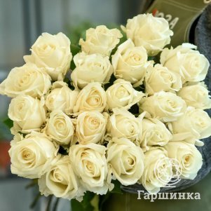 

Роза Вайт Шоколад, Питомник роз