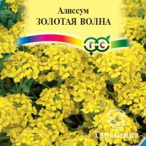 

Семена Алиссум Золотая волна скальный, 0,1 г, Альпийская горка