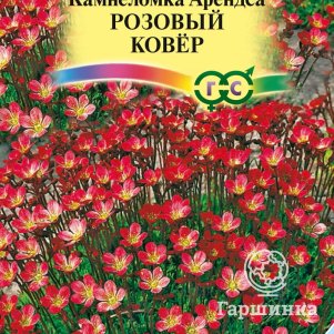 Семена Камнеломка Арендса Розовый ковер* 0,01 г