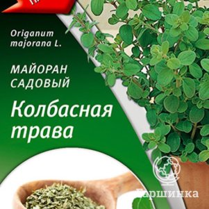Семена Майоран садовый Колбасная трава, 0,1 г, ц/п - фото 1