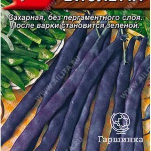 Семена Фасоль Виолетта, овощная, ц/п, 5г