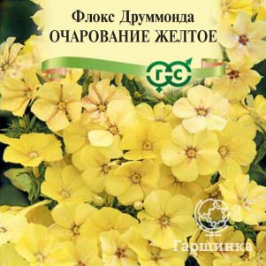 Семена Флокс друммонда Очарование желтое, ц/п , 0,05 г