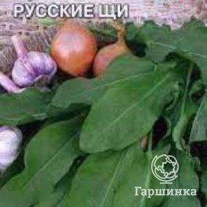 Семена Щавель Русские щи, 0,5 г, ц/п