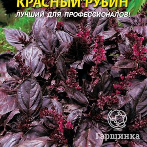 Семена Базилик Красный Рубин, 0,15 гр, Плазменные семена