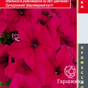 Семена Петуния крупноцветковая F1 (серия Success! 360) Дип Роуз 10 др, Плазменные семена - фото 1