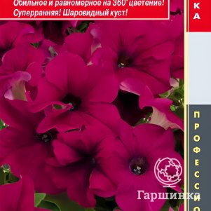 Семена Петуния крупноцветковая F1 (серия Success! 360) Пурпл 10 др, Плазменные семена