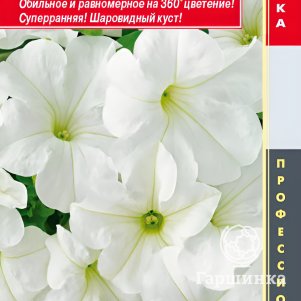 Семена Петуния крупноцветковая F1 (серия Success! 360) Уайт 10 др, Плазменные семена