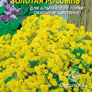 Семена Алиссум скальный Золотая Россыпь, 0,1гр, Плазменные семена