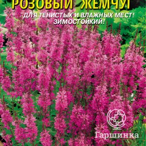 Семена Дербенник Розовый жемчуг 0,05 гр, Плазменные семена - фото 1
