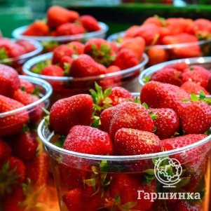 Клубника Крапо 10