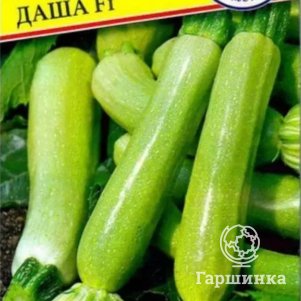 

Семена кабачка Даша F1, 5 шт, Престиж