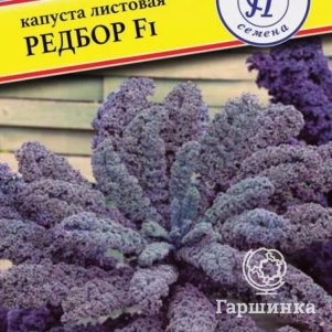 

Семена капусты листовой Редбор F1, 5 шт, Престиж