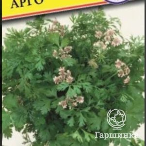 

Семена кориандра Арго, (РС-1) 1 гр, Престиж