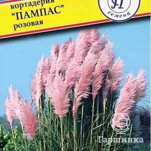 кортадерии Пампас Розовая РС-1 005 гр Престиж 98₽