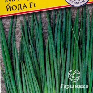 Семена лука батуна Йода F1, 0,3 гр, Престиж