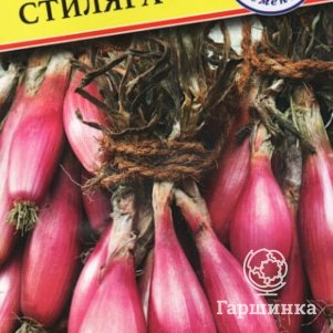 Семена лука шалот Стиляга (РС-1), 0,5 гр, Престиж