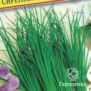 Семена лука шнитт Сиреневый звон, 0,5 гр, Престиж