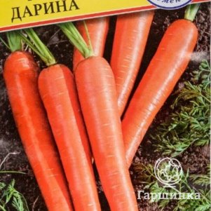 

Семена моркови Дарина, 1 гр, Престиж