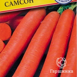 

Семена моркови Самсон(РС-1), 1 гр, Престиж
