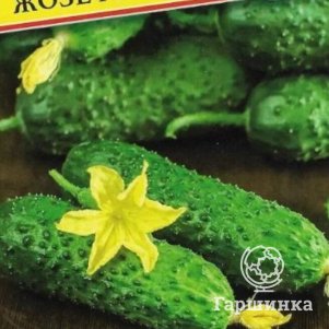 Огурец Жозефино F1 5 шт, Семена Престиж