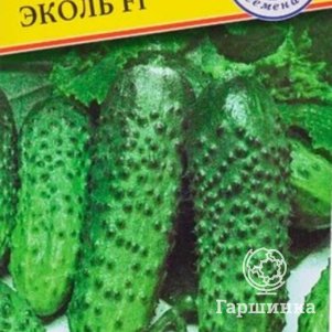 

Семена огурца Эколь F1, 5 шт, Престиж