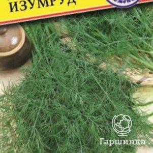 

Семена укропа Изумруд (РС-1), 1 гр, Престиж