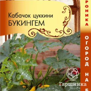 

Семена Кабачок Букингем F1 (Огород на балконе!) 3 шт Плазменные семена