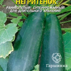 

Семена Кабачок цуккини Негритенок 10 шт Плазменные семена