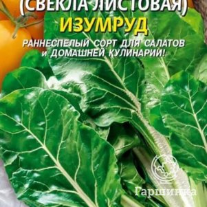 

Семена Мангольд (Свекла листовая) Изумруд 2 гр Плазменные семена