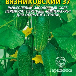 

Семена Огурец Вязниковский 37 15 шт Плазменные семена