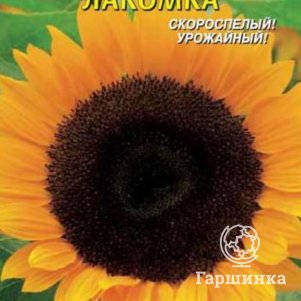 Семена  Подсолнечник Лакомка  5 гр Плазменные семена