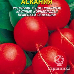 

Семена Редис Аскания 2 гр Плазменные семена