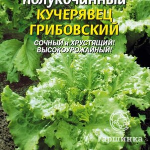 Семена Салат Кучерявец Грибовский 0,5 гр, Плазменные семена