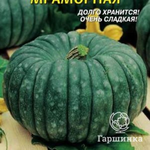 

Семена Тыква Мраморная 6 шт Плазменные семена