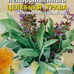 

Семена Шалфей лекарственный Целебная трава 0,2 гр Плазменные семена