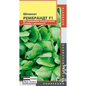 

Семена Шпинат Рембрандт F1 100 шт Плазменные семена