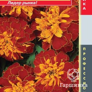 Семена  Бархатцы отклоненные (серия Bonanza) Бонанза Гармония  10шт Плазменные семена