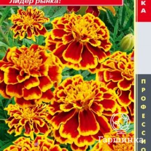 Семена  Бархатцы отклоненные (серия Bonanza) Бонанза Пчелка  10шт Плазменные семена