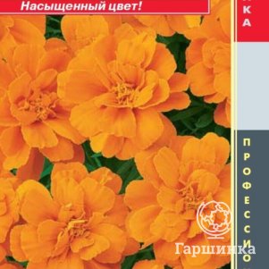 Семена  Бархатцы отклоненные (серия Durango) Дюранго Мандарин  10шт Плазменные семена