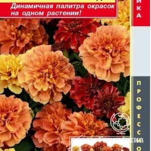 

Семена Бархатцы отклоненные Клубничный Блонд F1 7 шт Плазменные семена