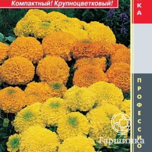 Семена  Бархатцы прямостоячие F1 Антигуа Микс  5шт Плазменные семена