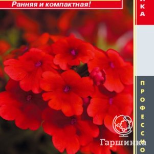 

Семена Вербена гибридная F1 (серия Quartz XP) Кварц Скарлет 5 шт Плазменные семена