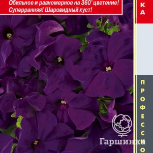 Семена  Петуния крупноцветковая F1 (серия Success! 360) Саксесс 360 Блю  10 шт Плазменные сем