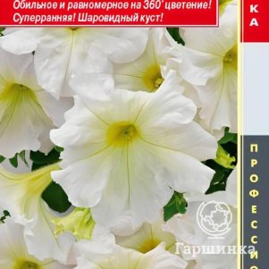Семена  Петуния крупноцветковая F1 (серия Success! 360) Саксесс 360 Лайт Еллоу  10 шт Плазмен