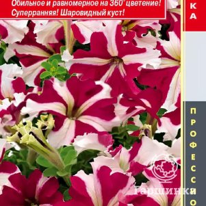 Семена  Петуния крупноцветковая F1 (серия Success! 360) Саксесс 360 Роуз Стар  10 шт Плазменн