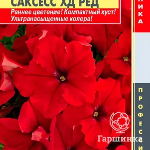 Семена  Петуния крупноцветковая F1 (серия Success! HD) Саксесс ХД Ред  10 шт Плазменные семен